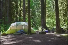 Photograph of Cedar Creek Campgrounds, Cottage Grove