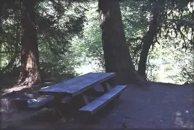 Photograph of Canton Creek Campground, Idleyld Park