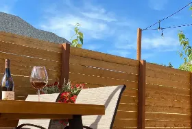 Photograph of Trellis, Dundee