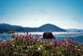 Photograph of The Compass Rose Bed & Breakfast, Port Orford