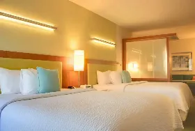 Photograph of SpringHill Suites, Moosic