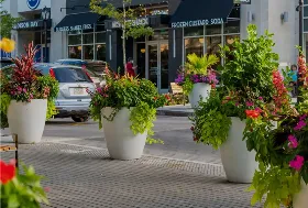 Photograph of Suburban Square, Ardmore