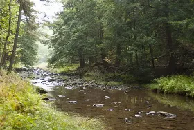 Photograph of Clear Creek State Park, Sigel