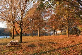 Photograph of Moraine State Park, Portersville