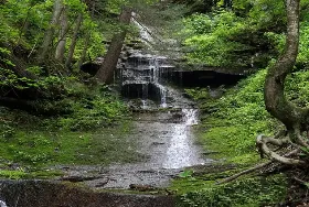 Photograph of Colton Point State Park, Wellsboro