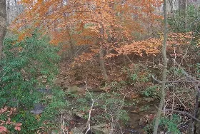 Photograph of Gallitzin State Forest, Ebensburg