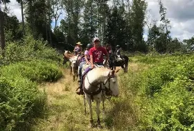 Photograph of Cook Forest Area Scenic Trail Ride And Dude Ranch, Clarion