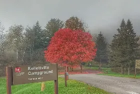 Photograph of Kellettville Campground, Tionesta