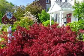 Photograph of Avenue Bed & Breakfast, Lock Haven