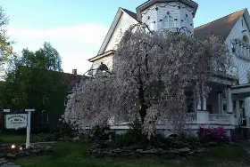 Photograph of Victorian Charm Inn, Towanda
