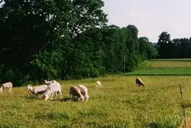 Photograph of Olde Fogie Farm Bed & Breakfast, Marietta