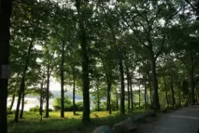Photograph of Burlingame State Park & Campground, Charlestown