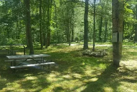 Photograph of Dyer Woods Nudist Campground, Foster