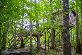 Photograph of Carolina Heritage Outfitters, Saint George