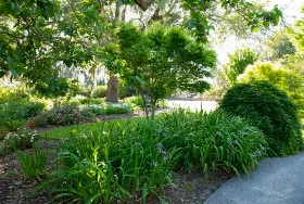 Photograph of Oceanfront Litchfield Inn, Pawleys Island