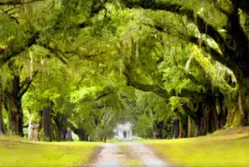 Photograph of Mansfield Plantation, Georgetown