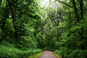 Photograph of Newton Hills State Park, Canton