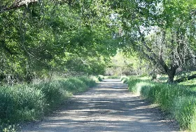 Photograph of Cow Creek State Recreation Area, Pierre