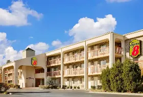 Photograph of Super 8, Hermitage