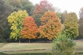 Photograph of Lock A Recreation Area, Ashland City