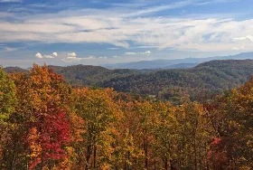 Photograph of Black Bear Hollow Cabins, Townsend