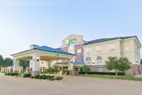 Photograph of Holiday Inn Express, Palestine