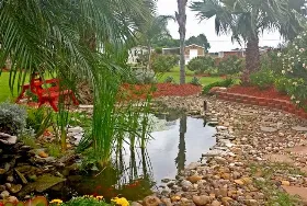 Photograph of Tropic Winds RV Resort, Harlingen