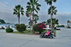 Photograph of Wilderness Oaks RV Resort, Rockport