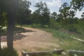 Photograph of Buescher State Park, Smithville
