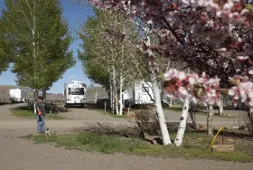Photograph of Oasis RV Resort, Amarillo