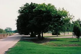 Photograph of Riverview Campground, Waco