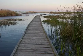 Photograph of Sea Rim State Park, Sabine Pass