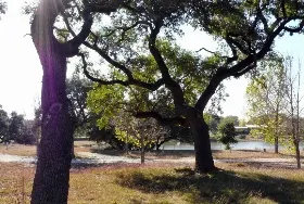 Photograph of Pomarosa RV Park and Homestead, Bandera