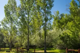 Photograph of Vernal / Dinosaurland KOA Holiday, Vernal