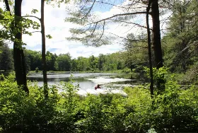 Photograph of Downer 4-h Camp, Sharon