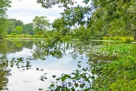 Photograph of Harbor View Campground, Colonial Beach