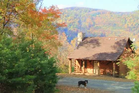 Photograph of Lydia Mountain Log Cabins, Stanardsville