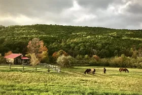 Photograph of Turtle Brook Farm And Cabins, Warm Springs