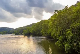 Photograph of Blue Moon Honeymoon Cottage, Draper