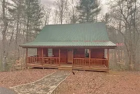 Photograph of Lady Bug, Meadows of Dan