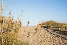 Photograph of Sandbridge Blue Vacation Rentals, Virginia Beach
