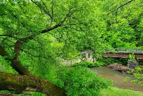Photograph of New River Trail Cabins, Galax