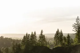 Photograph of Salish Lodge And Spa, Snoqualmie