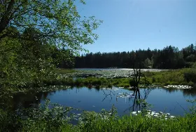 Photograph of Lake Connor Park, Lake Stevens
