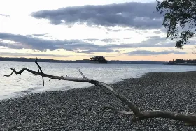 Photograph of Kopachuck State Park, Gig Harbor