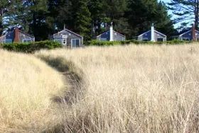 Photograph of Klipsan Beach Cottages, Ocean Park