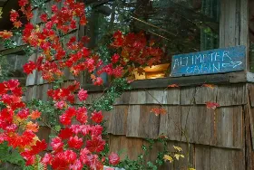 Photograph of Altimeter Cabin At Mt Rainier, Ashford