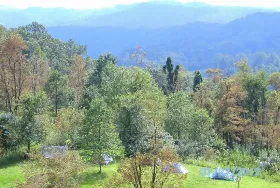 Photograph of Gauley River Wild & Woolly Primitive Campground, Summersville