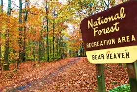 Photograph of Bear Heaven Recreation Area, Parsons