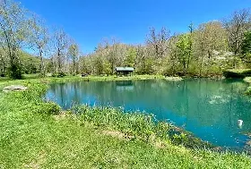 Photograph of Barnett Cabins, Hillsboro